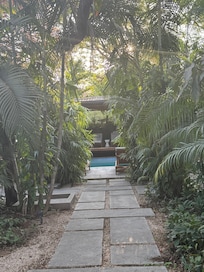 lots of green lush vegetation