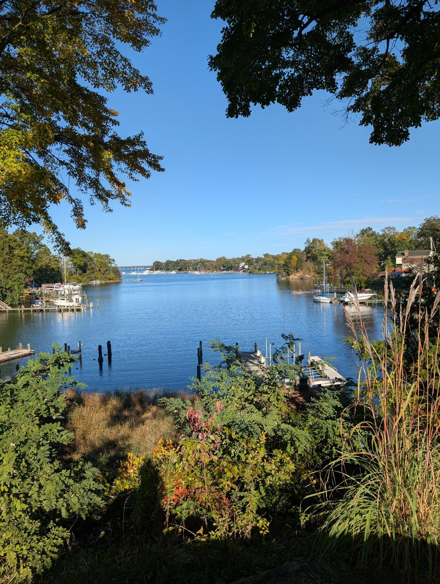 View from the back deck.