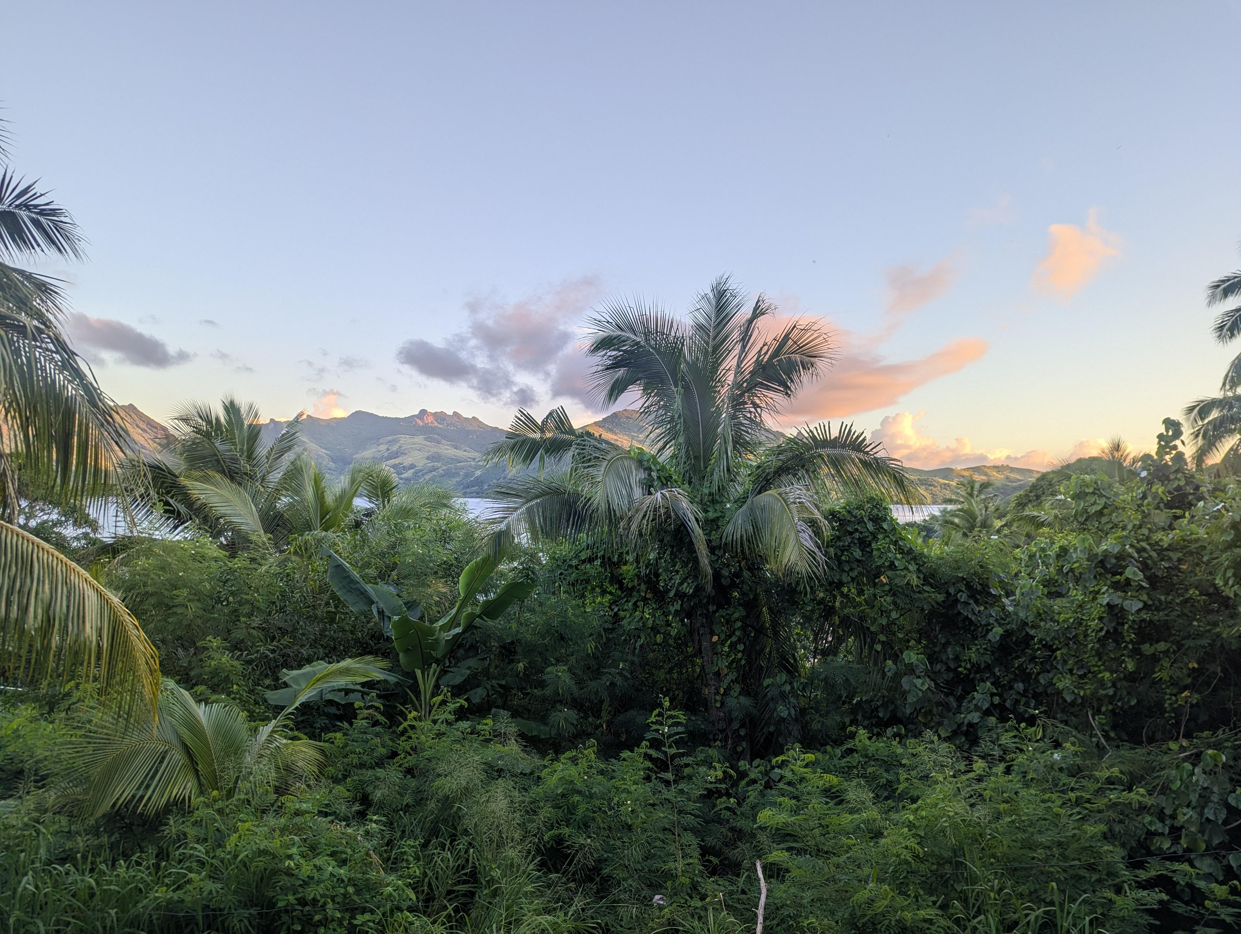 View from the dining area