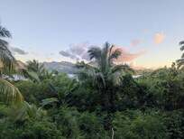View from the dining area