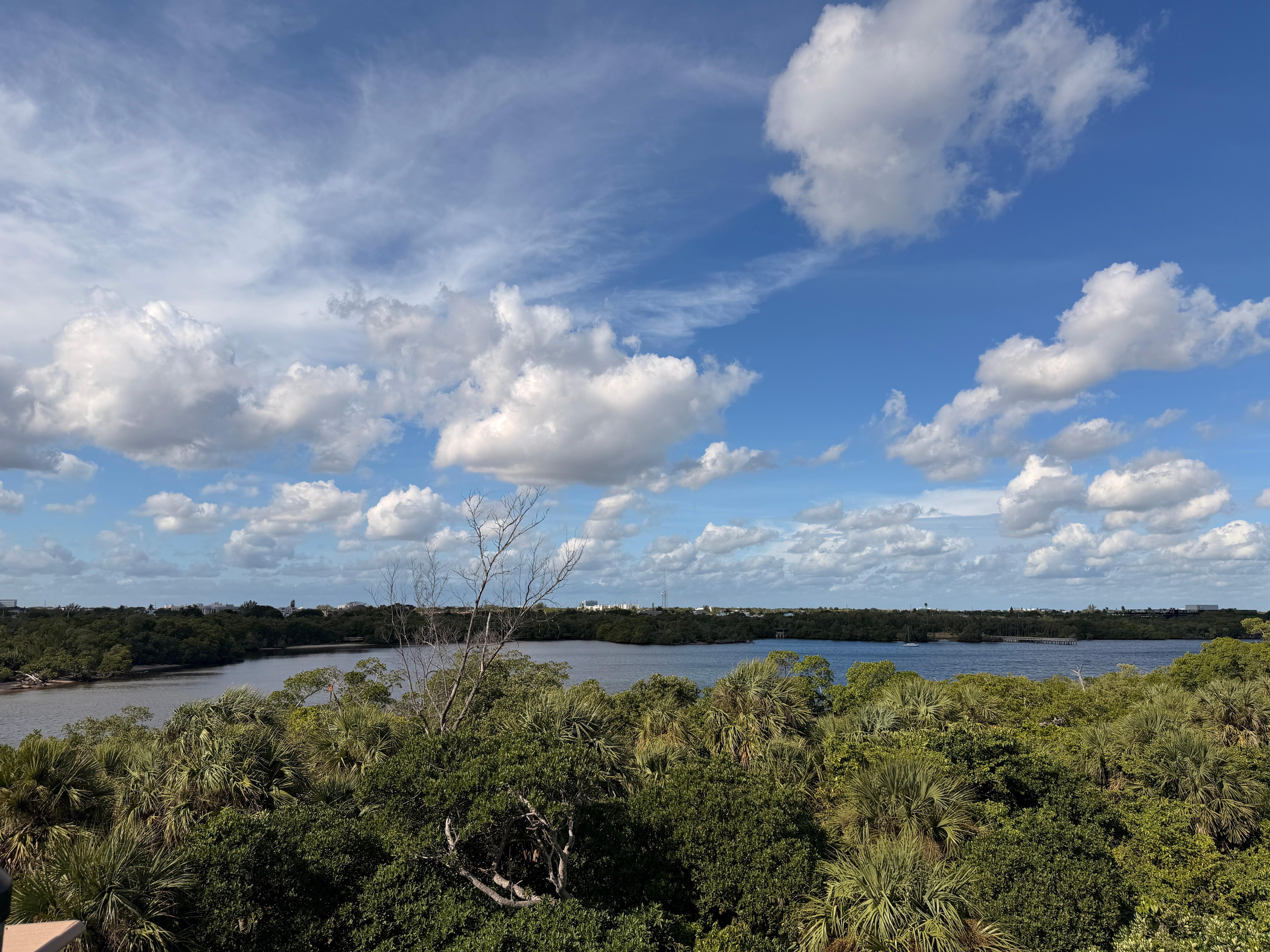Gumbo Limbo’s outlook, Boca Raton