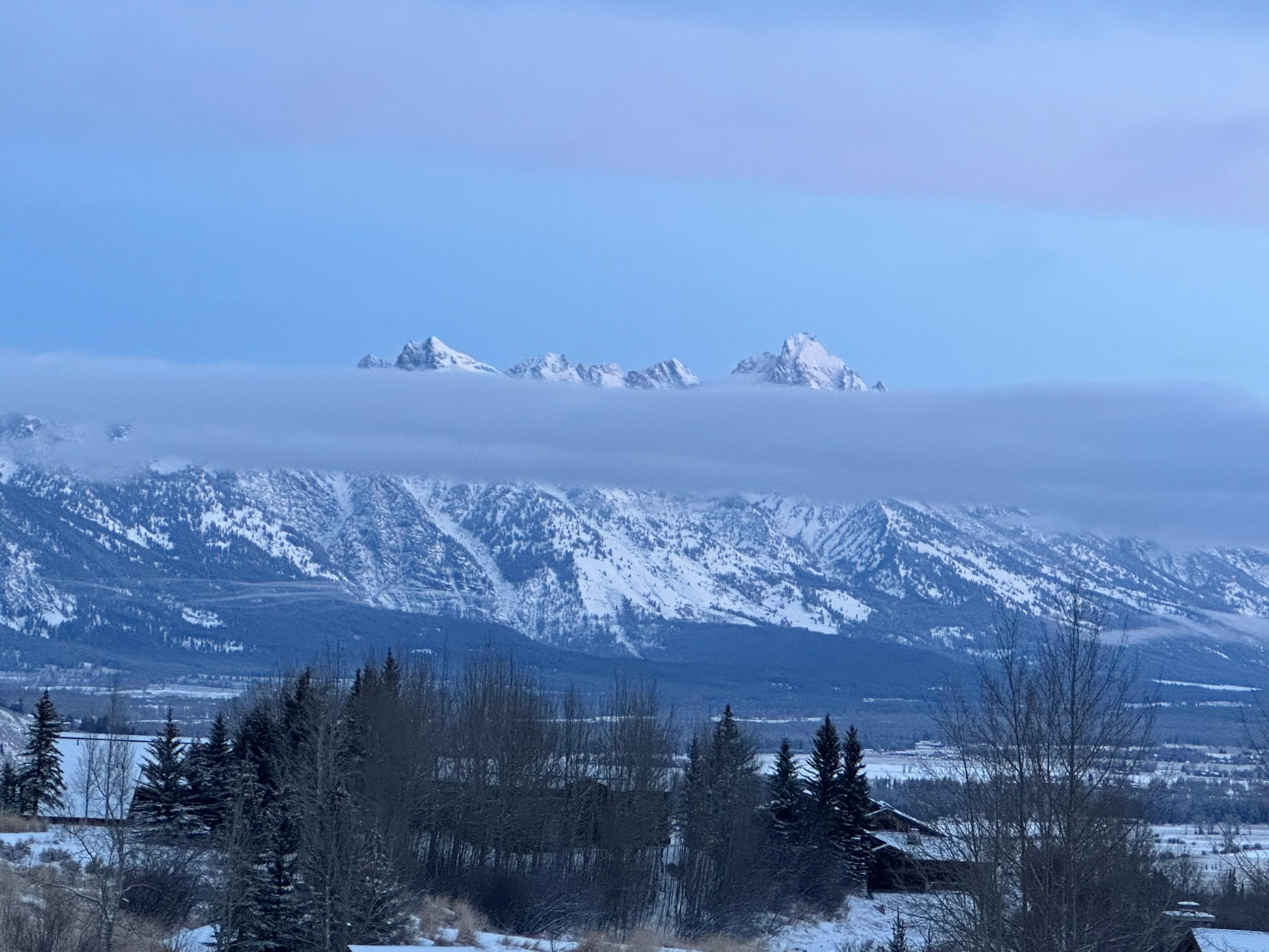 View from living room.
