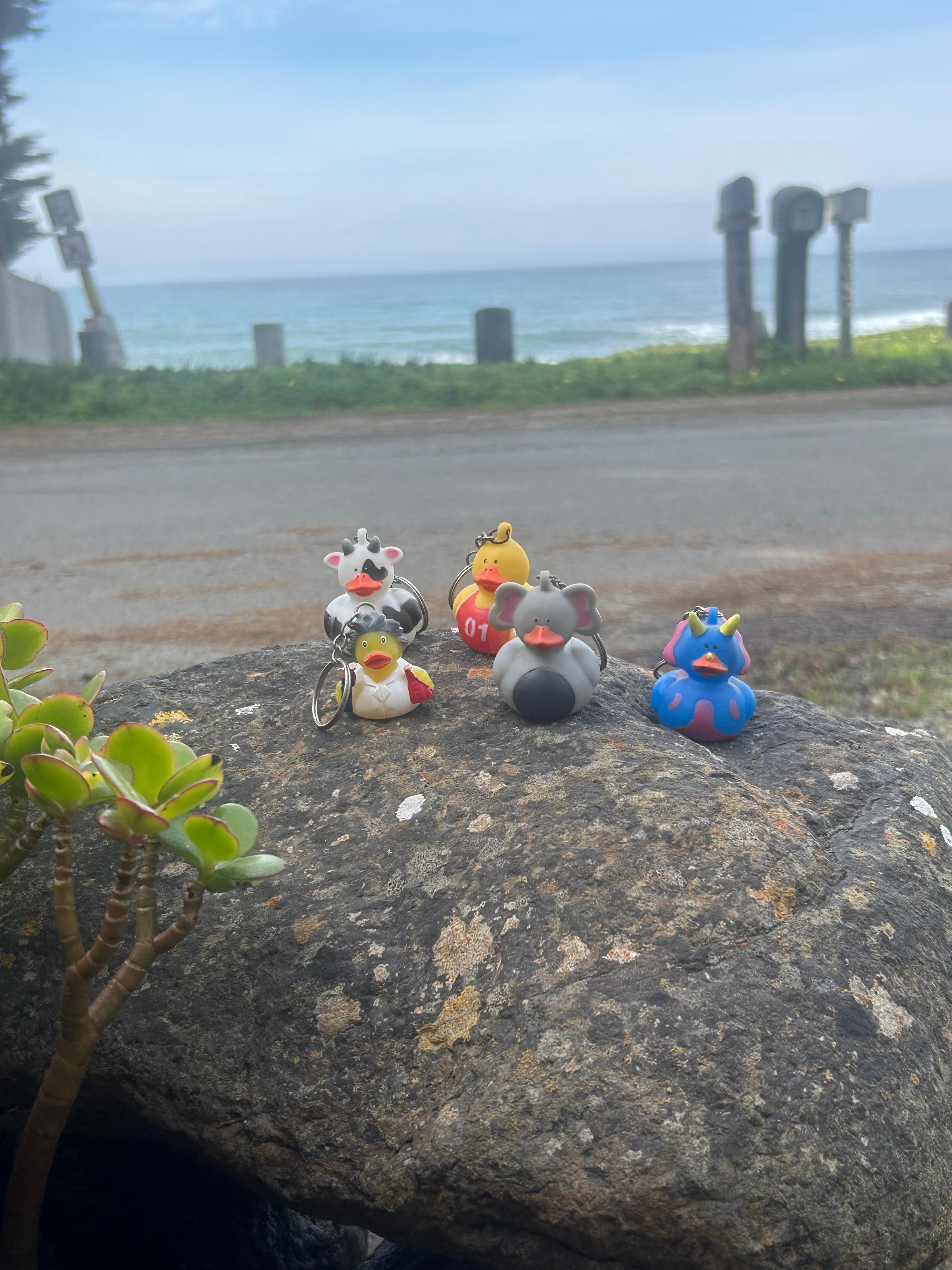 Traveling ducklings!!!   