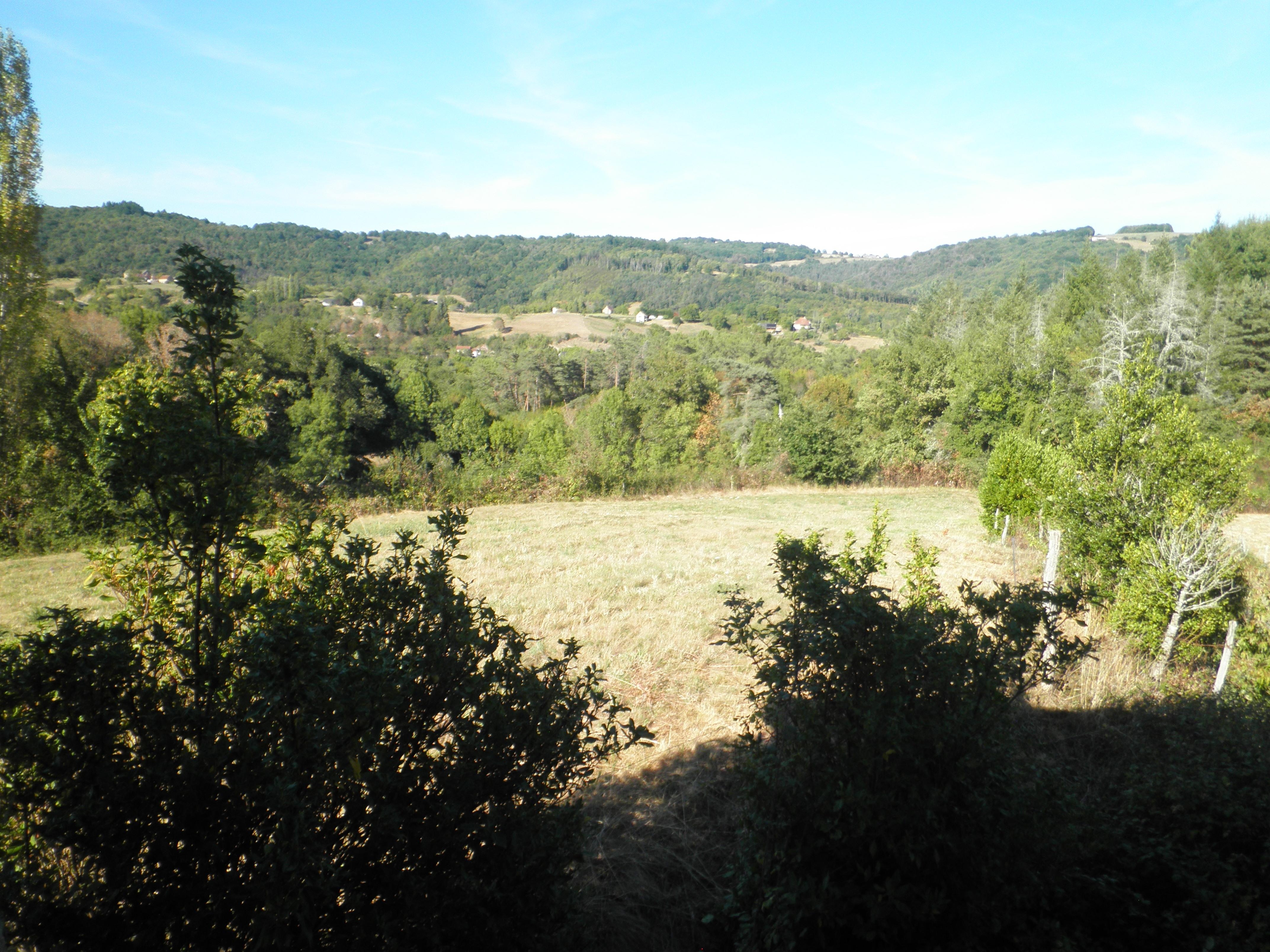 View from bedroom window