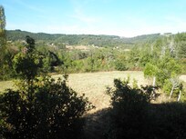 View from bedroom window