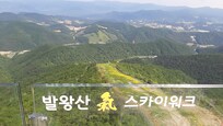 발왕산 스카이워크