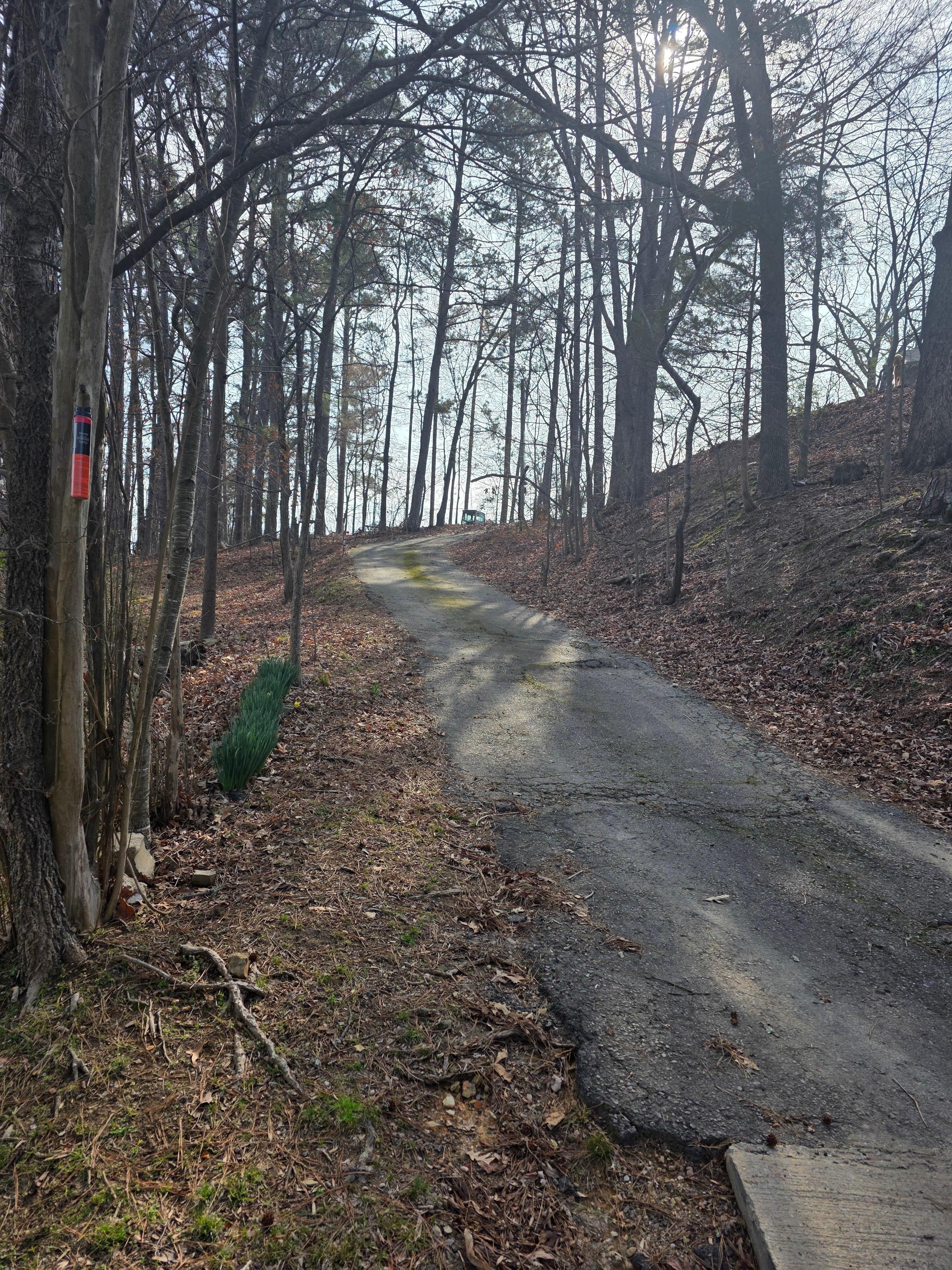 Driveway from house level looking up.