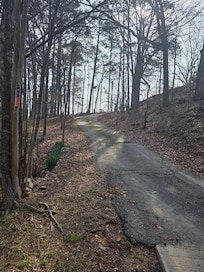 Driveway from house level looking up.