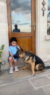 Barut the hotel’s live-in puppy!