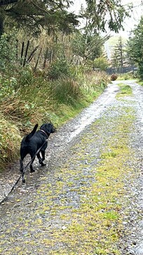 Walk to the waterfalls