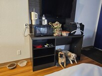 No fridge. But a space for doggos to rest.