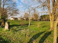 Wondered along the fields