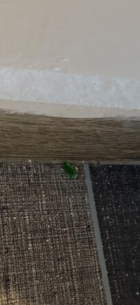 Pezzo di vetro per terra
