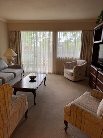 Living room furniture dated and showing wear.