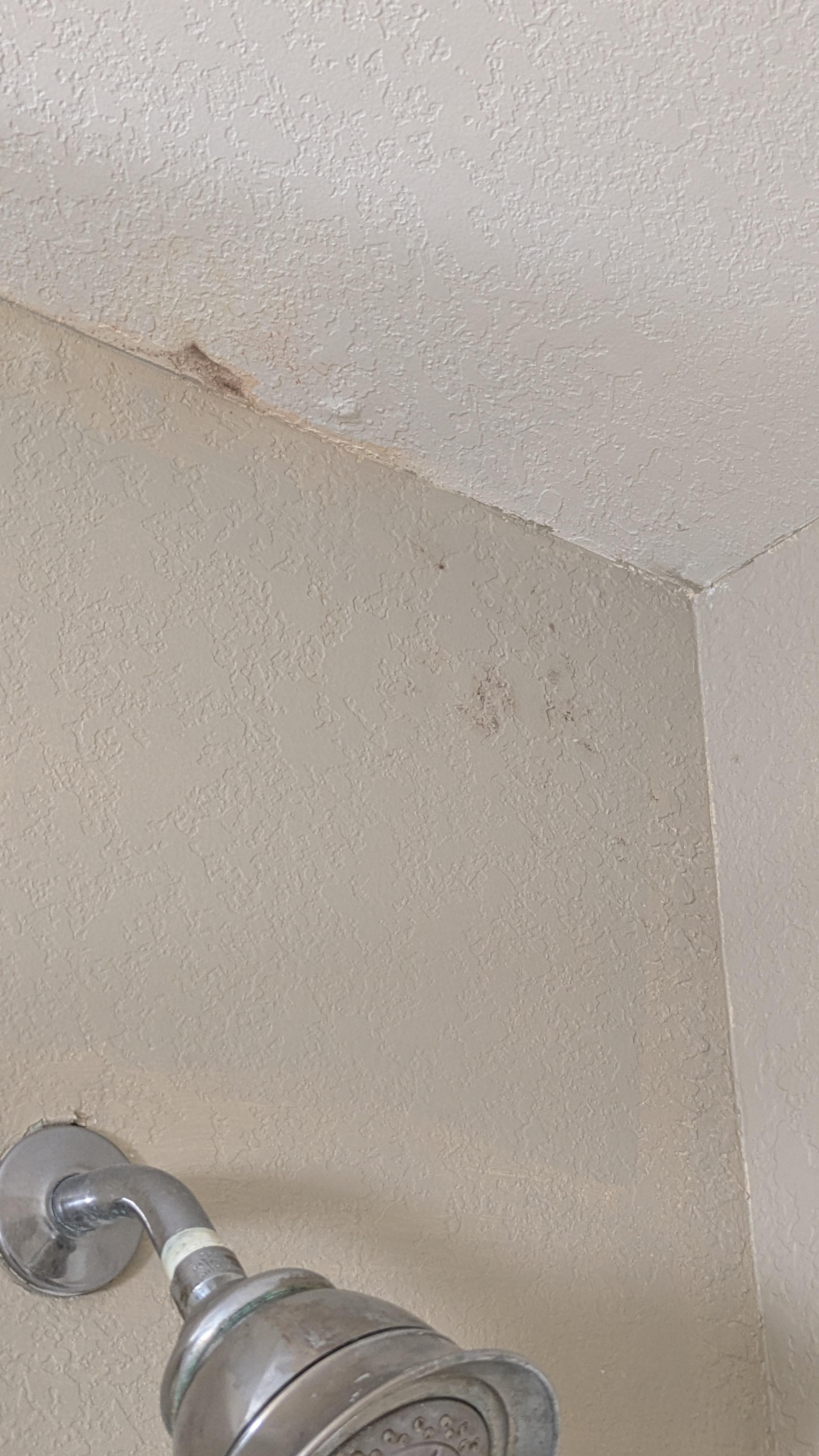 Mold and water damage
