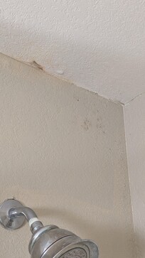 Mold and water damage