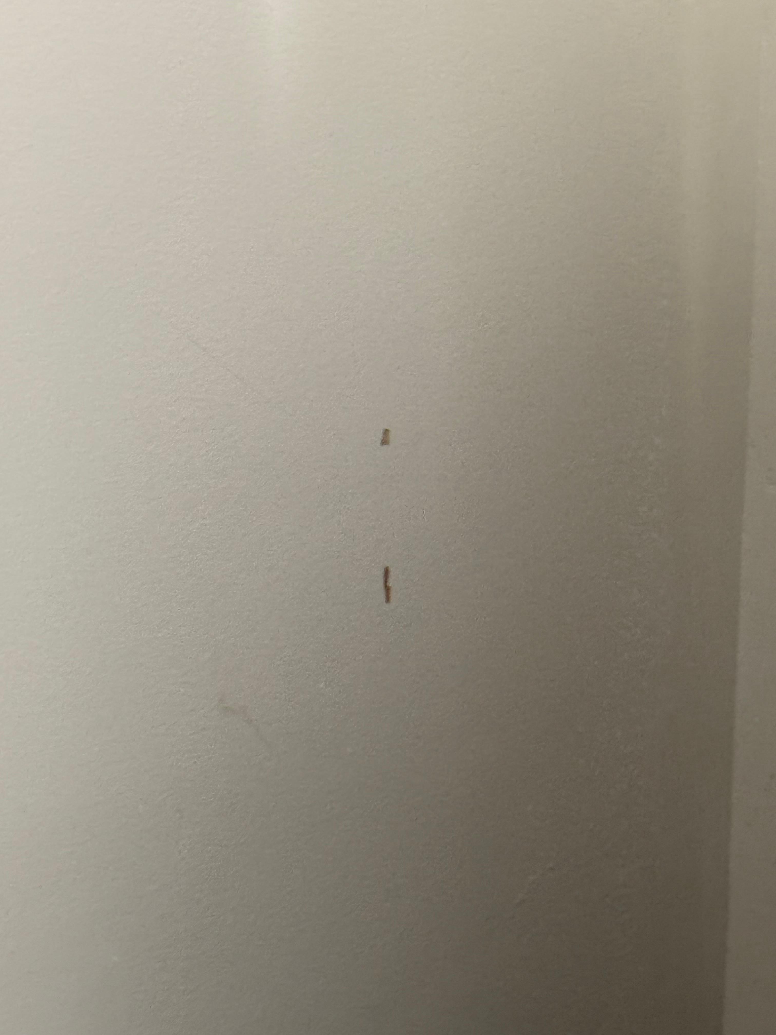 Hair in the shower of arrival