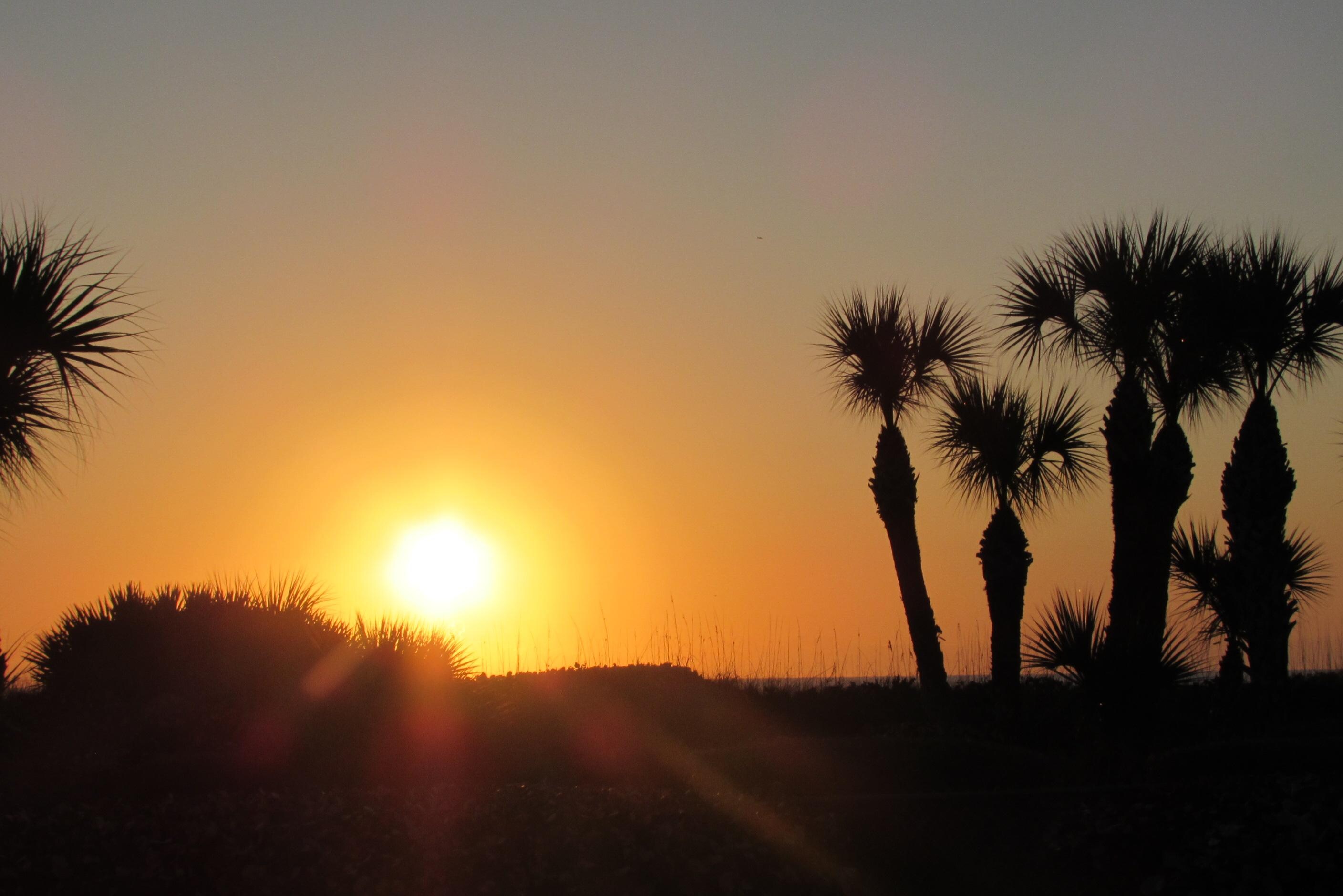 Sunrise from the unit patio