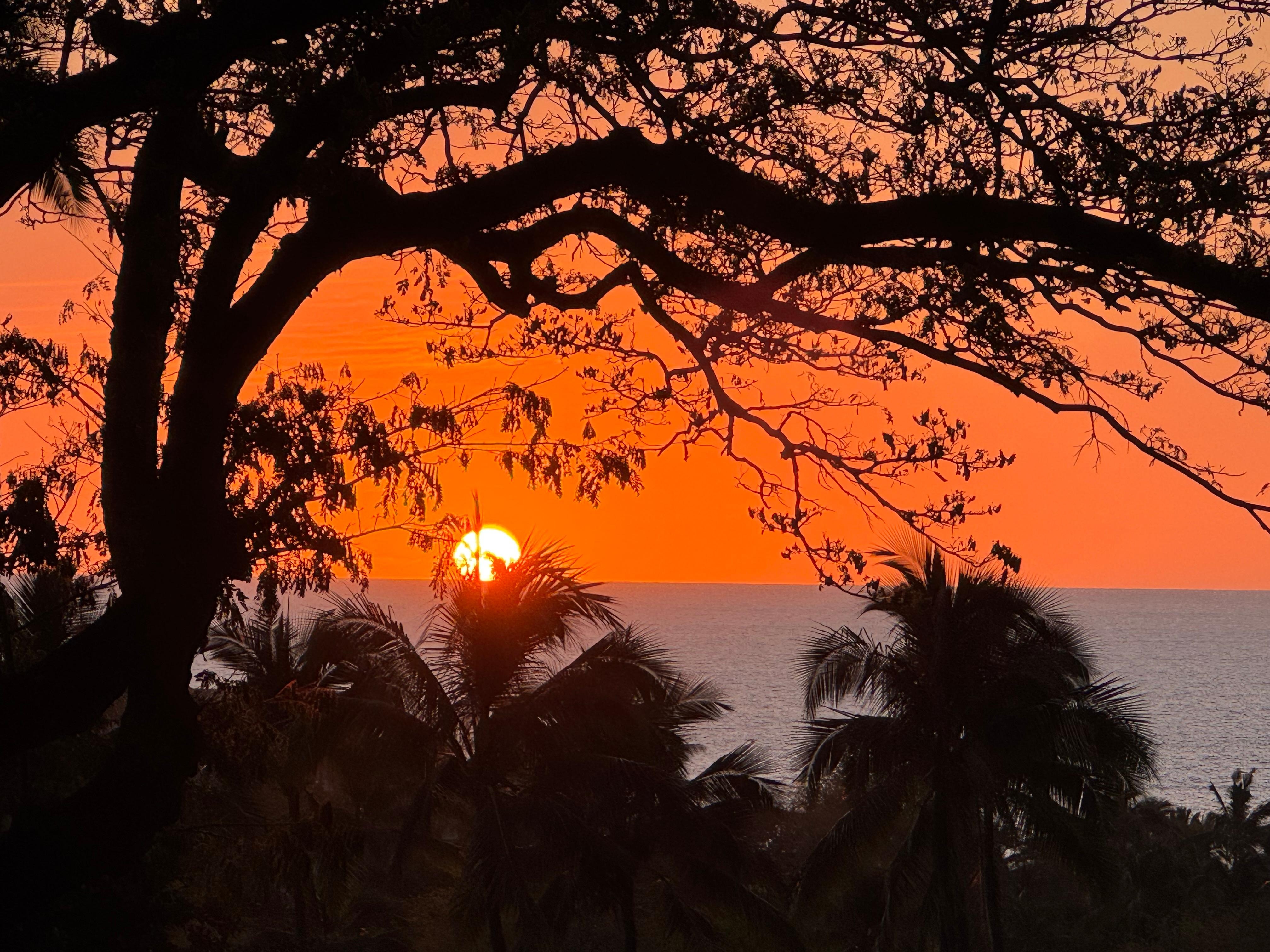 Perfect sunset views