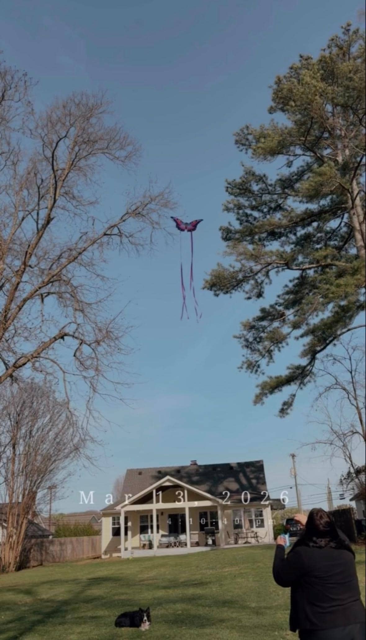 Kite flying in yard on a windy day! 