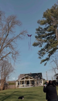 Kite flying in yard on a windy day!