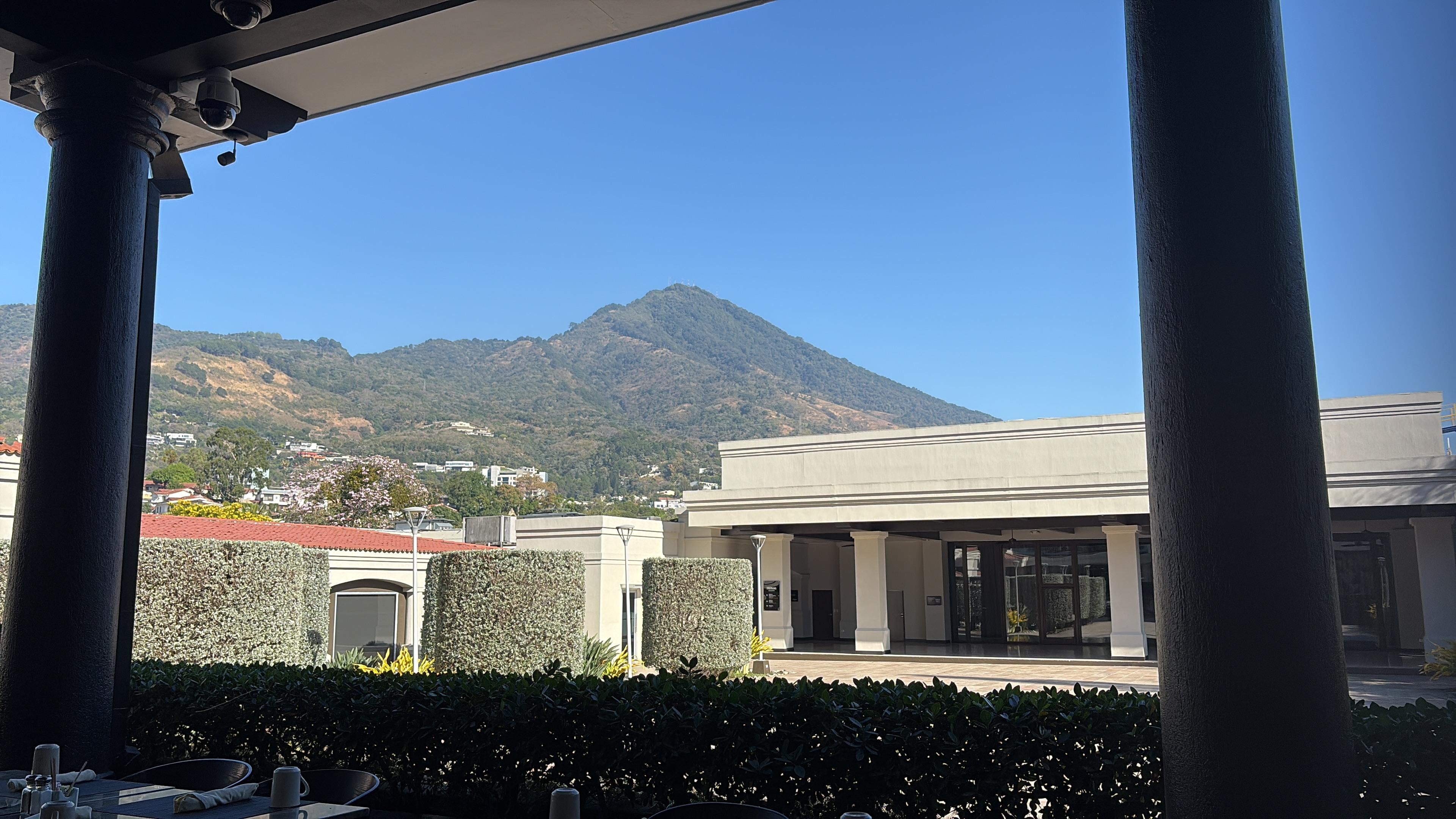 View from dining room 