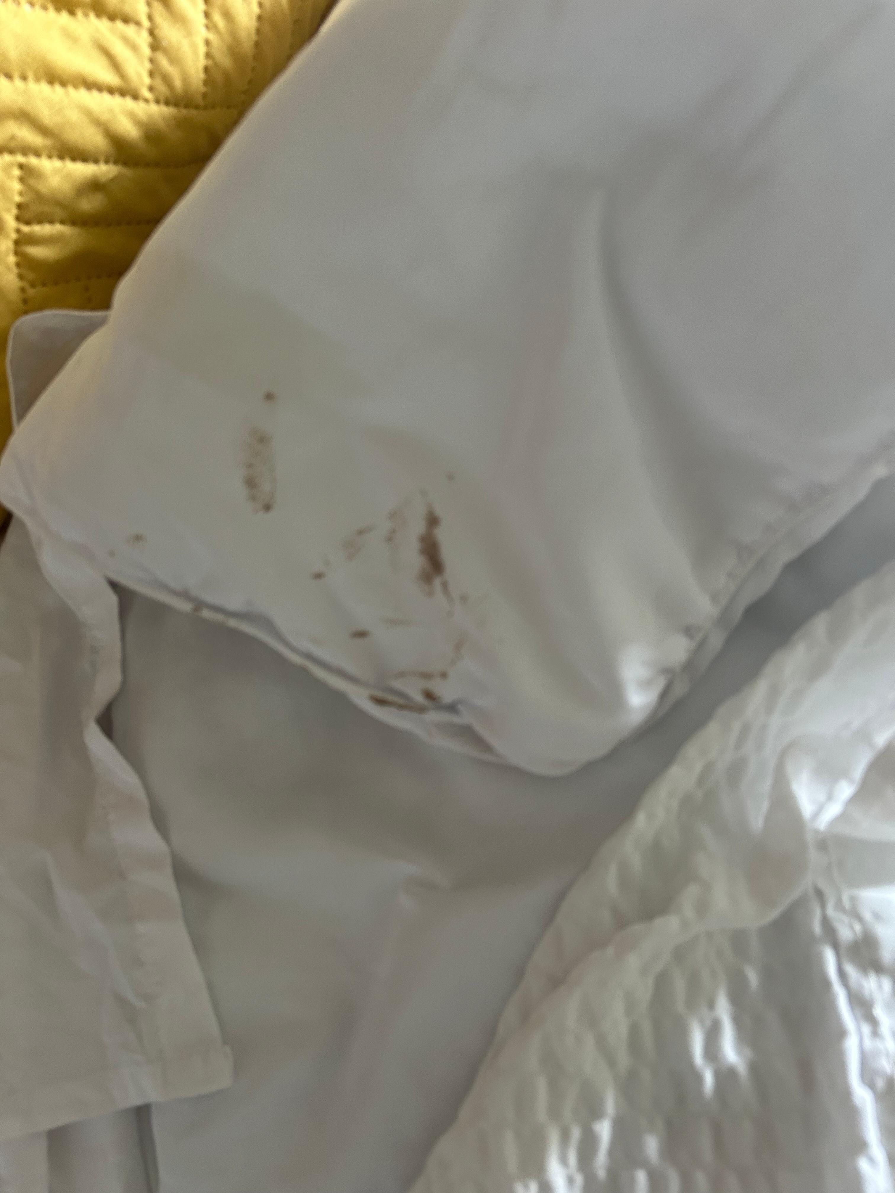 This the comfort that was on the bed 