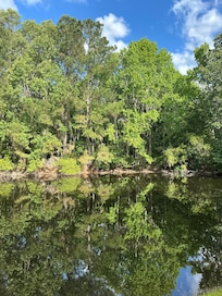 Backyard view