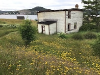 A touch of oldie Newfoundland just a few minutes walk from our rental.