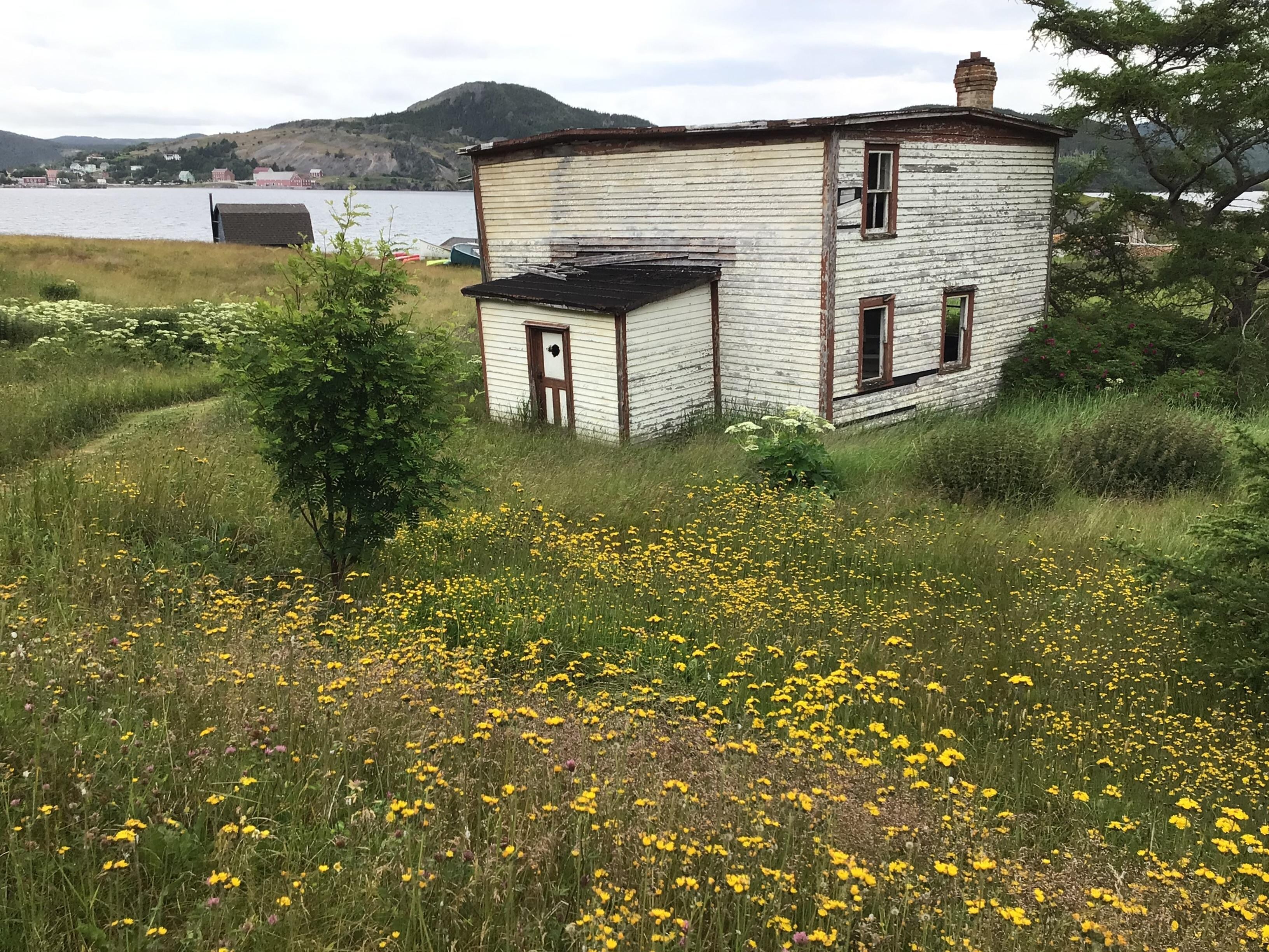 A touch of oldie Newfoundland just a few minutes walk from our rental.