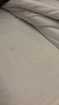 Dirty bed sheets