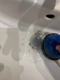 The nasty stuff that came up with plunging