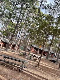 Beauty of the ground go Tall Pines property.