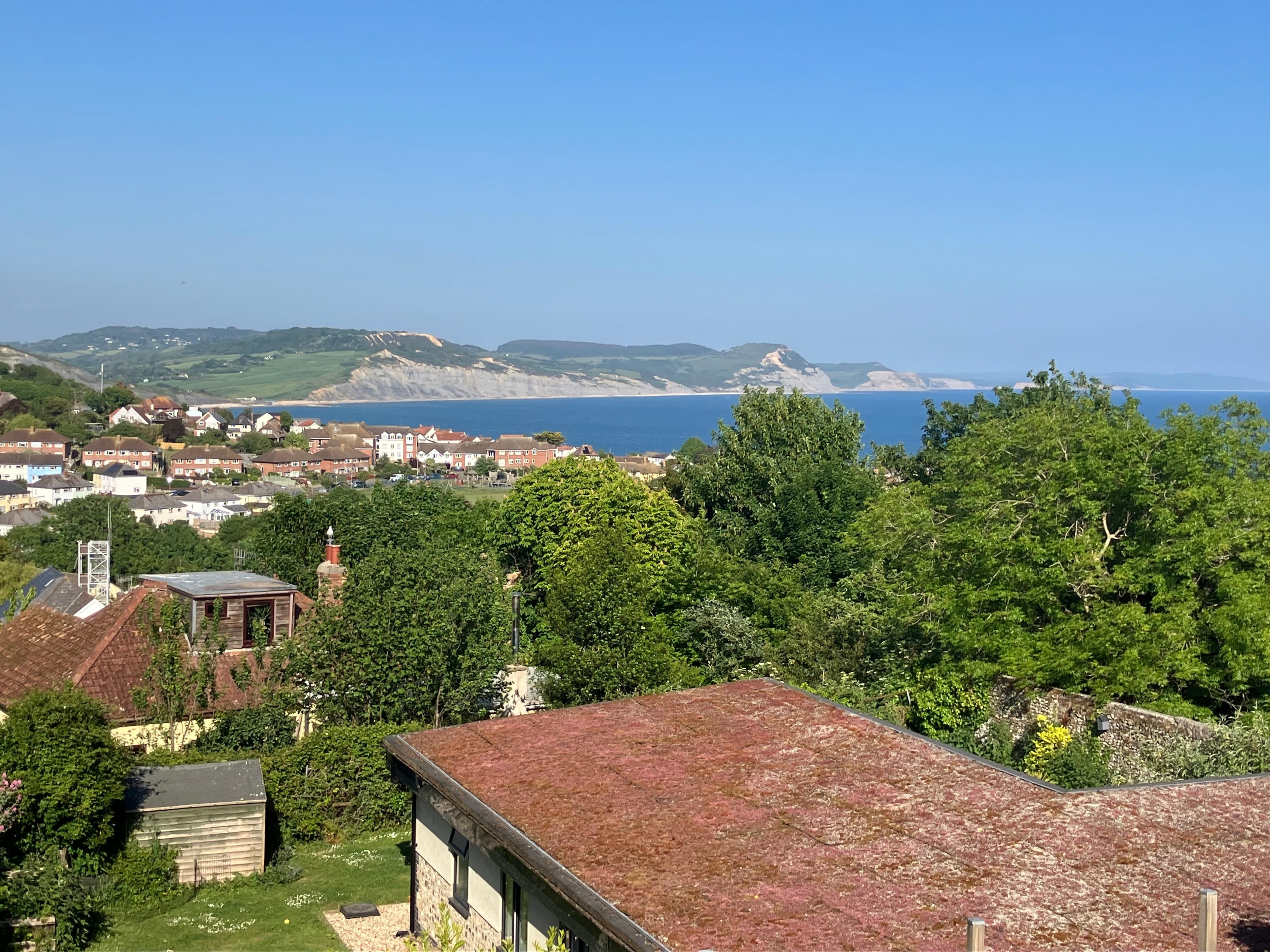 Our view from the living area of the cottage