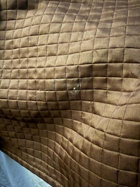 crusty stain on bedspread