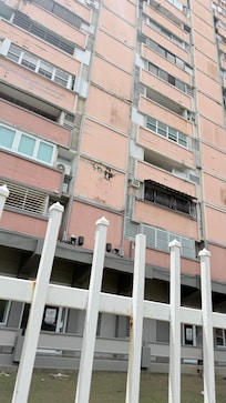 Building with a lot of pigeons on balconies and Terrance