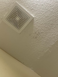 Mold on ceiling