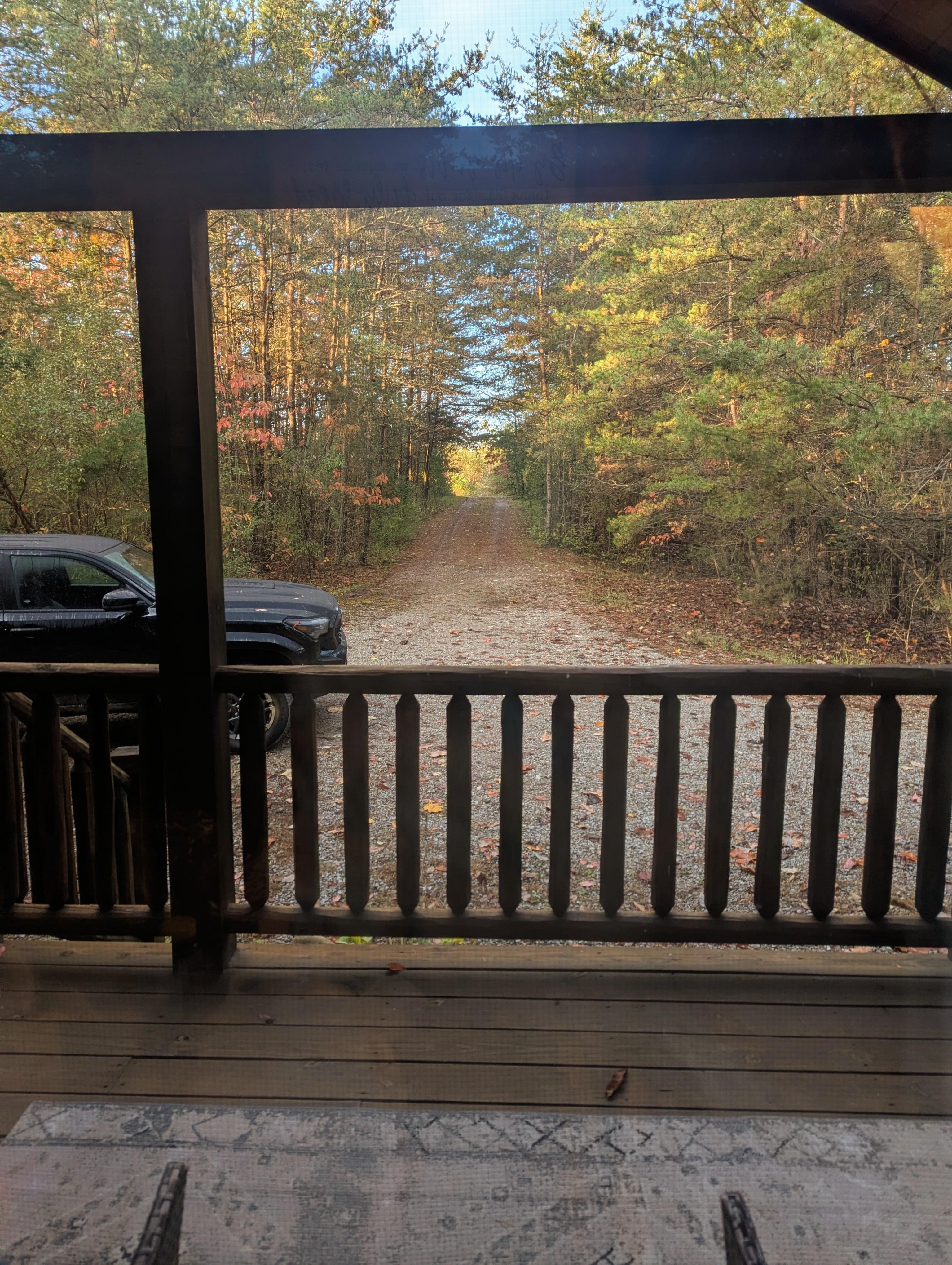 Looking out the front door. There truly isn't anyone around, except for the deer and turkey.