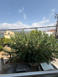 Would have a sea view if the neighbours cut their bush!