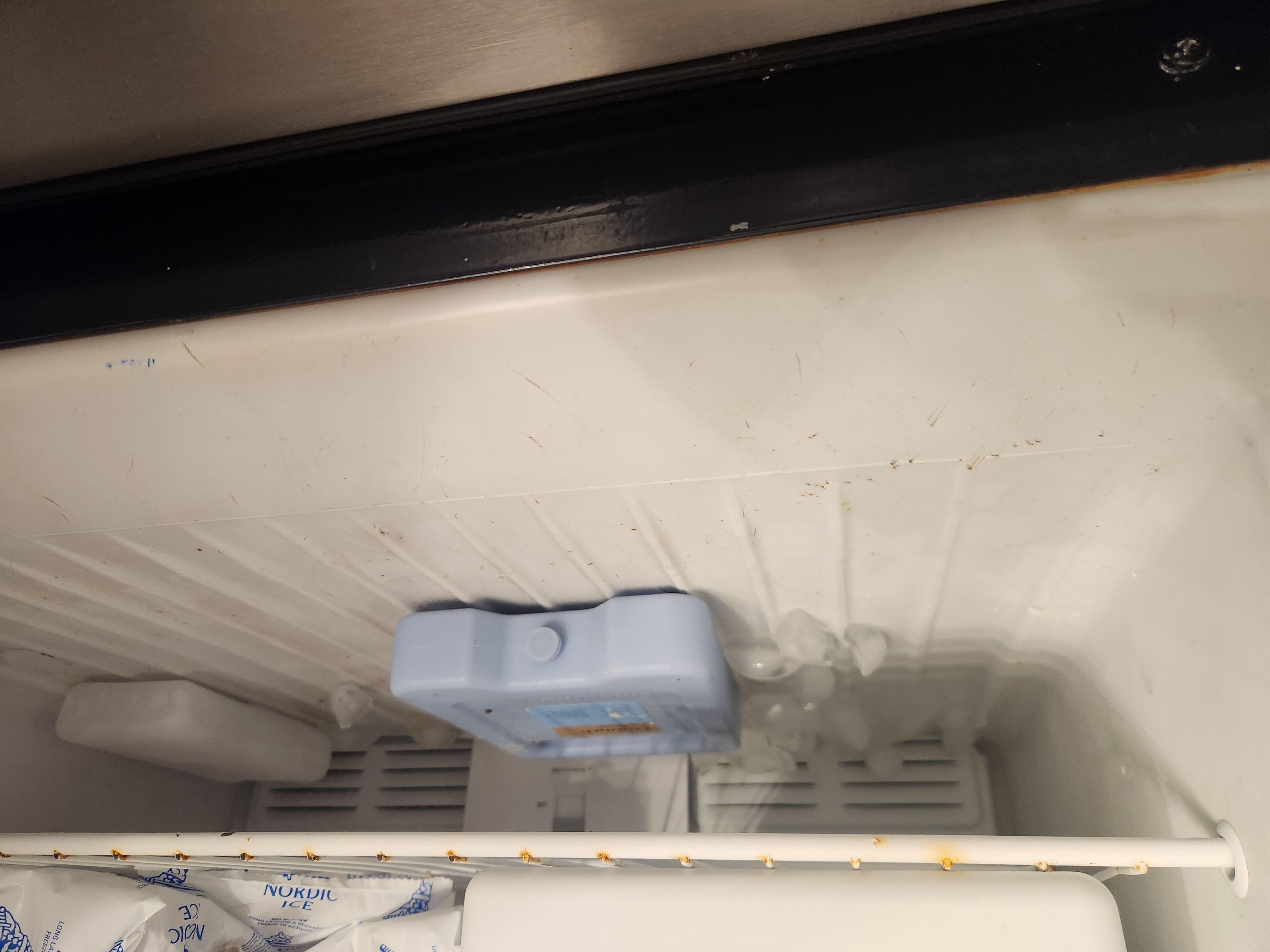Filthy freezer