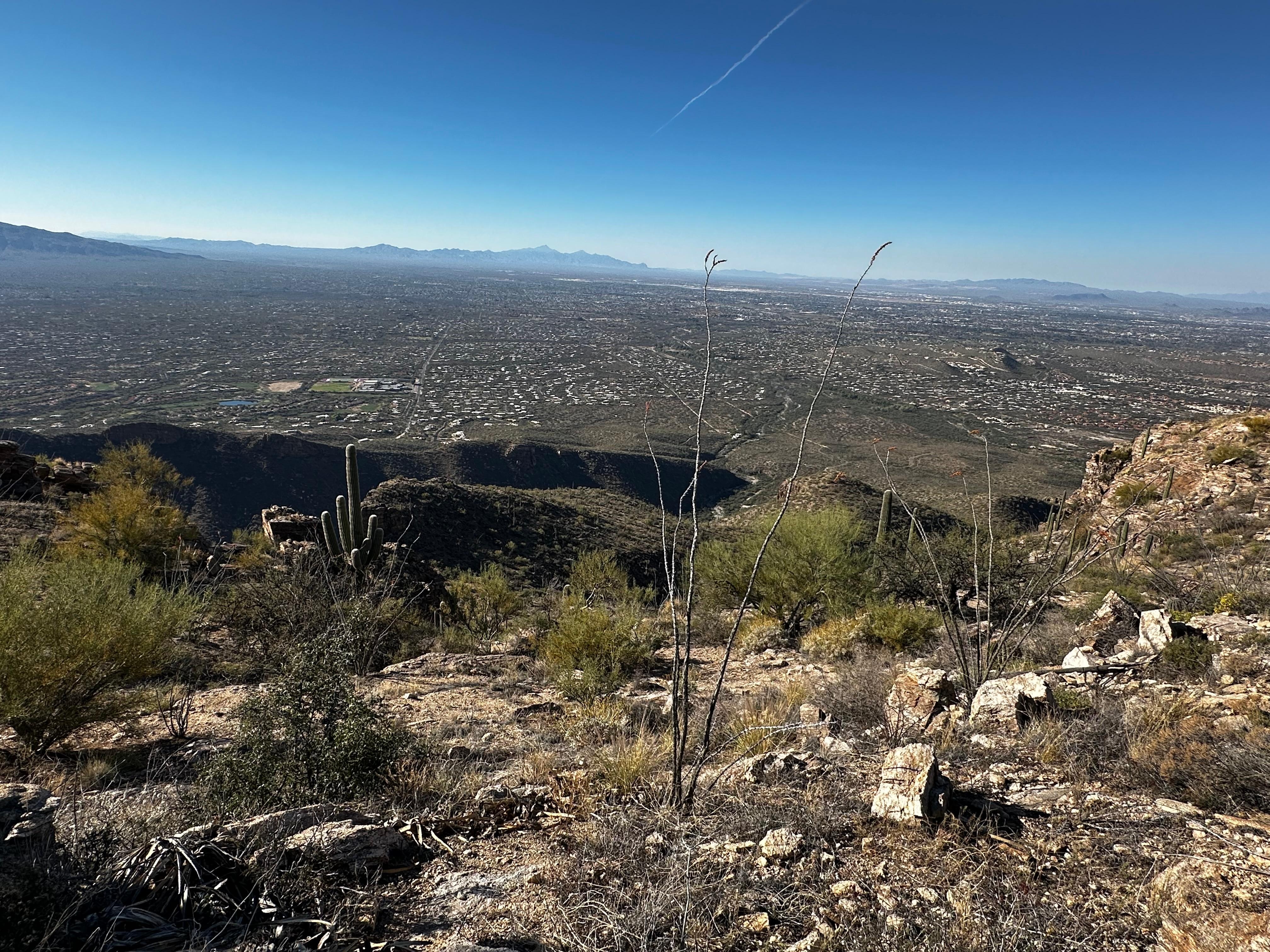 Great views from Sabino Canyon 