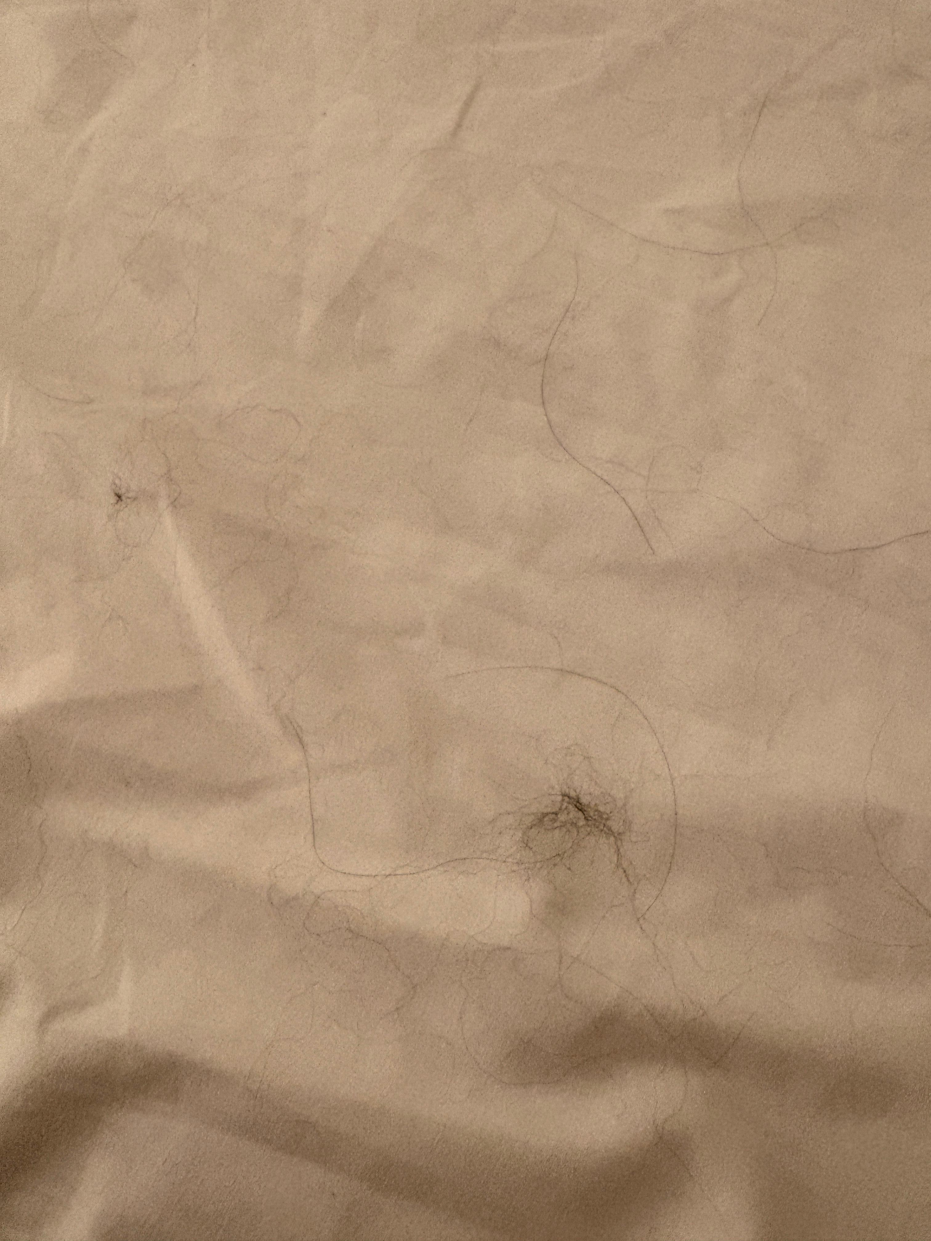 These hairs were all over the pillows and comforter of the master bed.  