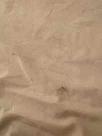 These hairs were all over the pillows and comforter of the master bed.