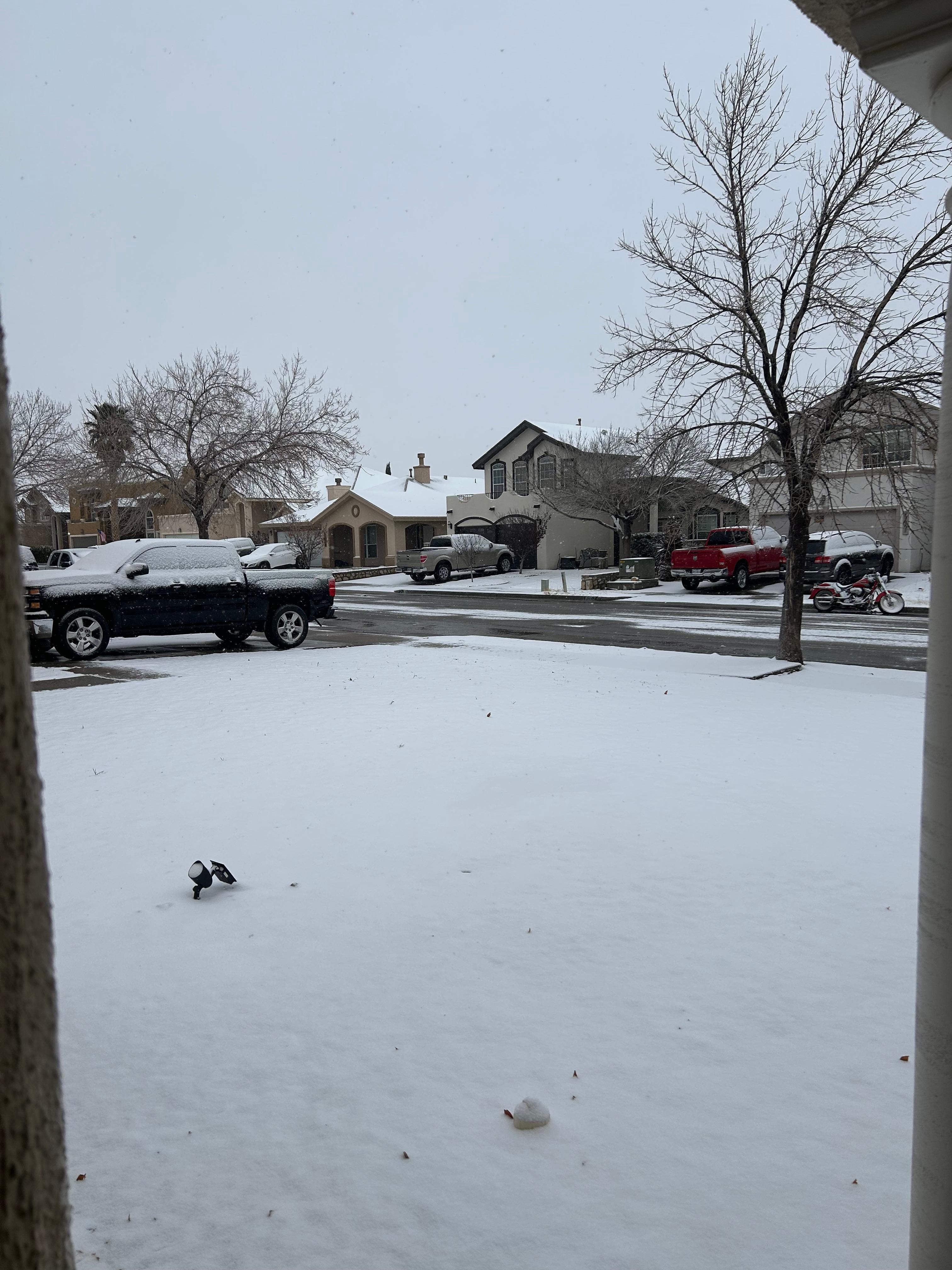 Front Yard 
January 25, 2026