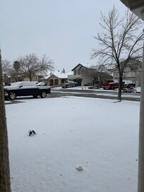 Front Yard
January 25, 2026