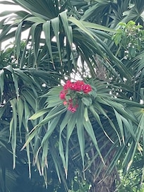 Outside decor