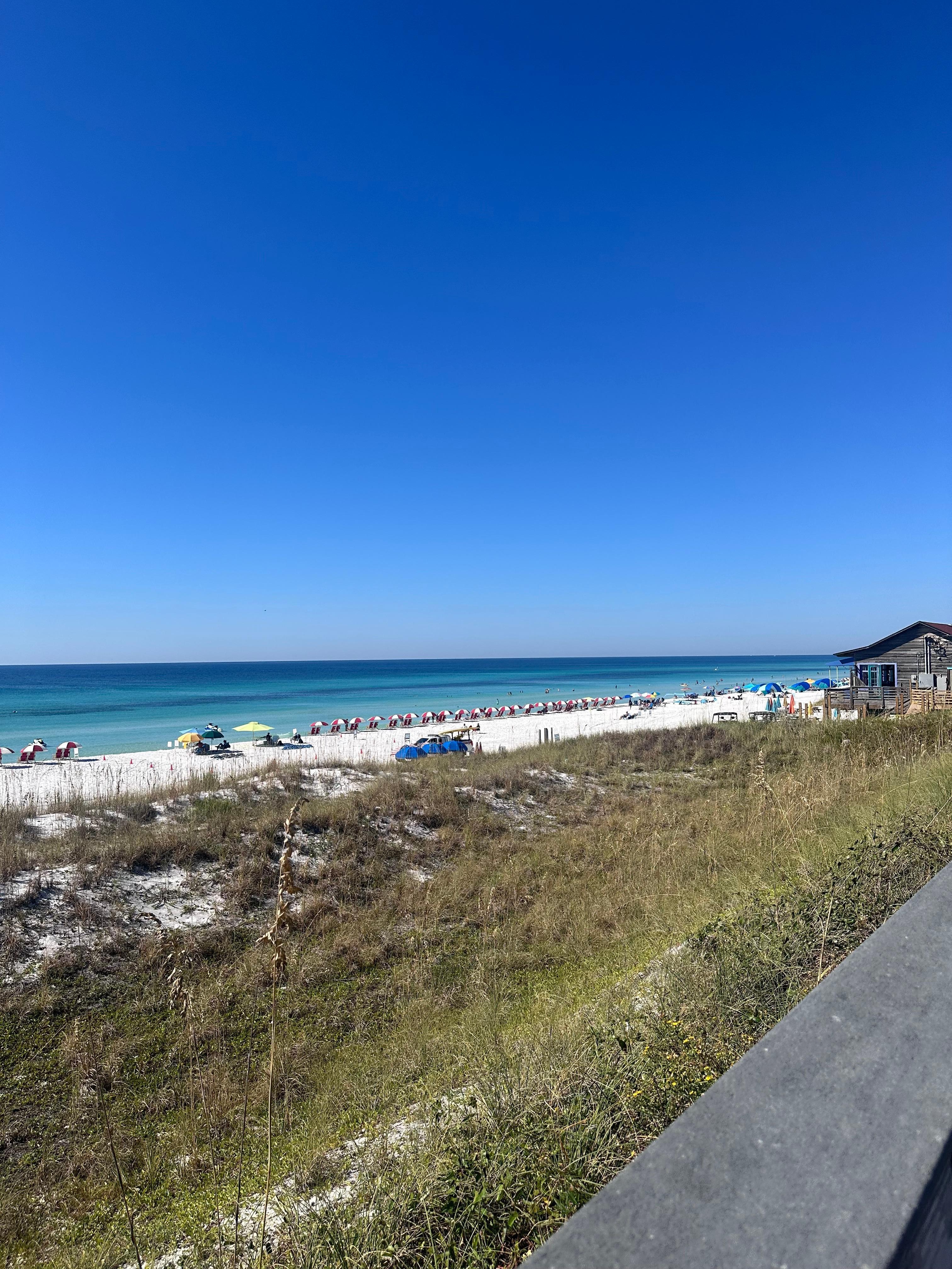 View from walking on boardwalk 