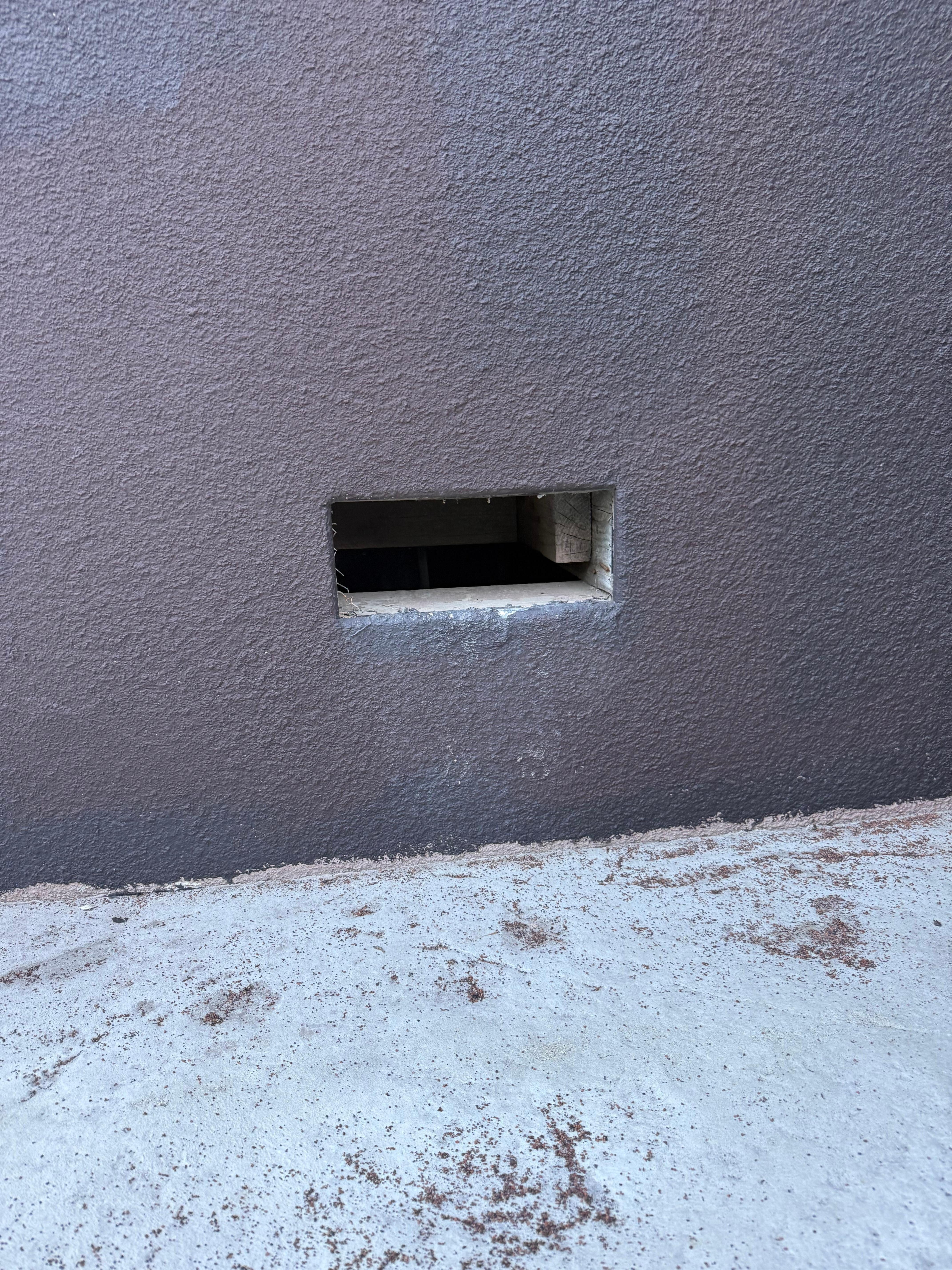 hole in the house probably where they enter?