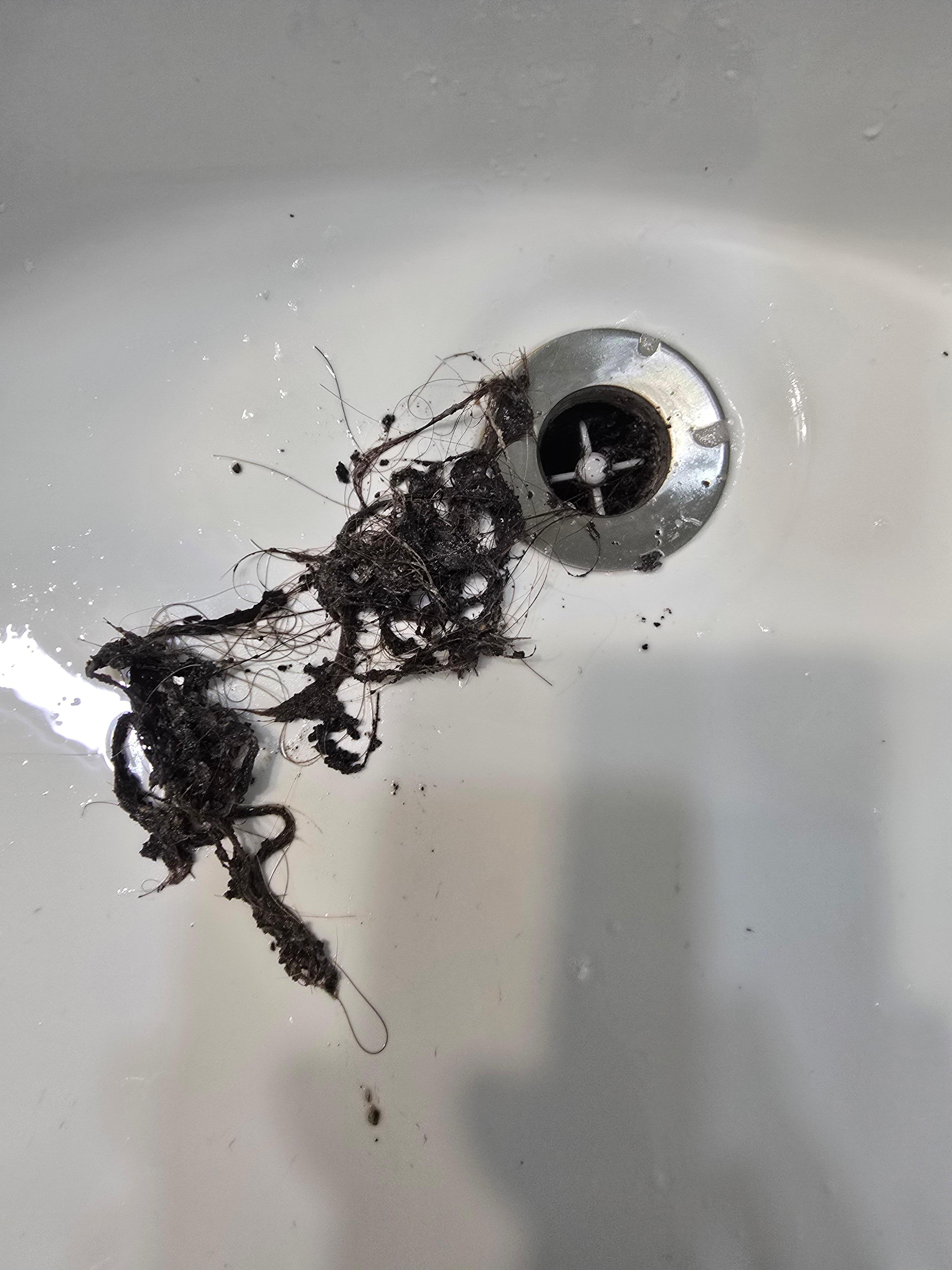 Sink in master bath. Water wouldn't drain until I cleaned. 