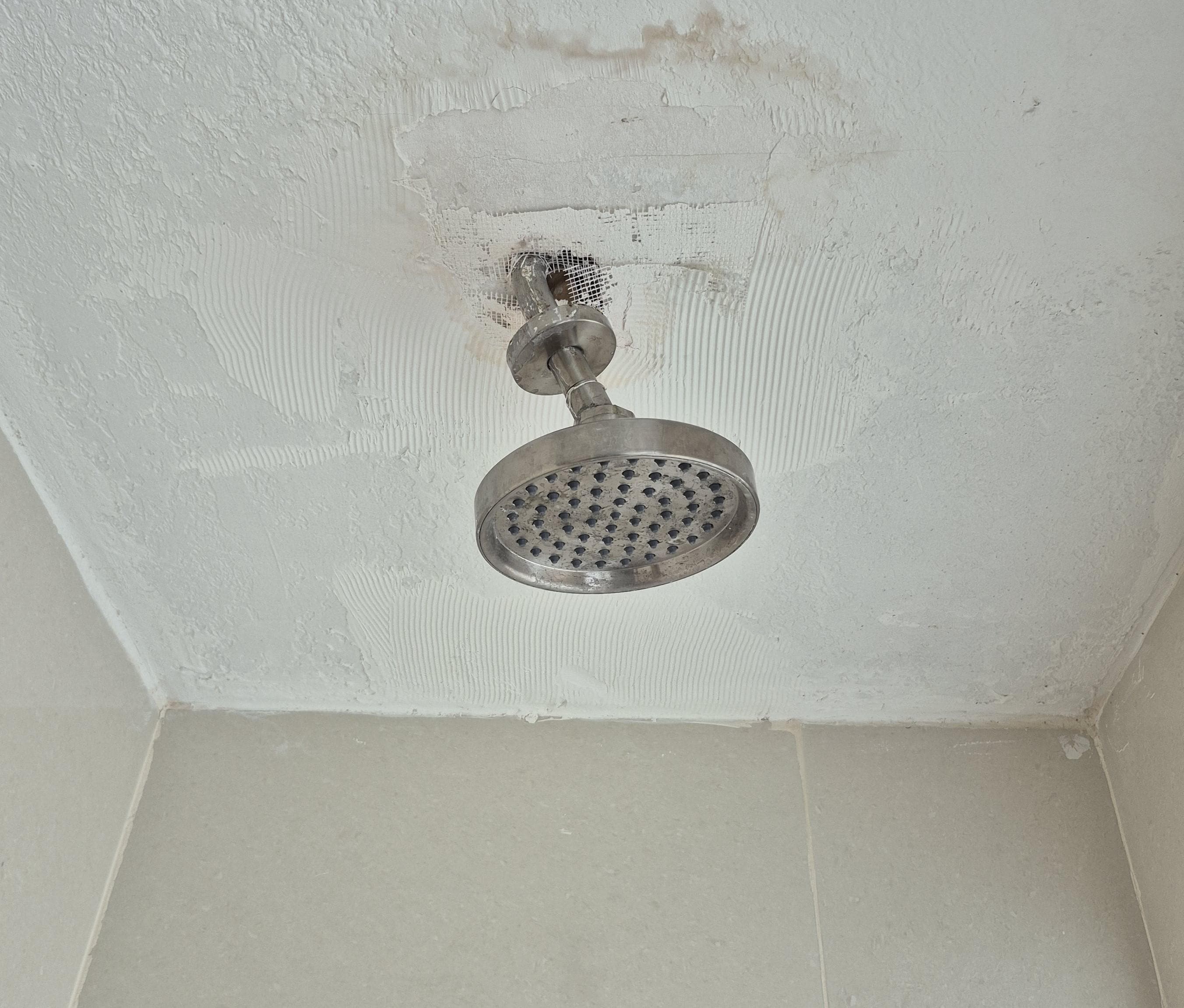 master bath shower head 